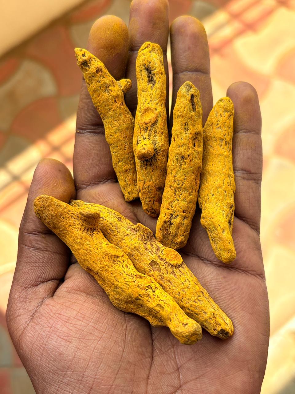 Turmeric image 3